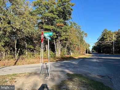 0 Main Ave unit NJAC2014732, Richland, NJ 08360 - photo 2