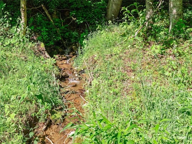 0 Chestnut Ln unit Lot 84, Mars Hill, NC 28754 - photo 4