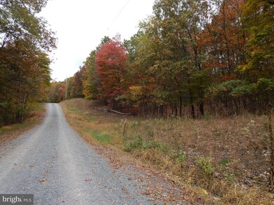 29A Holly Hill Ln, Berkeley Springs, WV 25411 - photo 2
