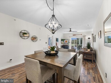 33156 N Village Loop unit 4205, Lewes, DE 19958 - photo 6