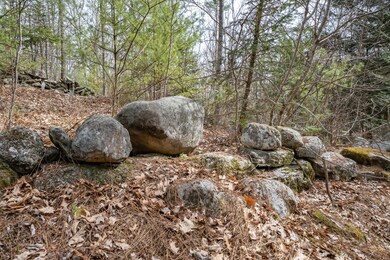 20220425_Lot-4_Dodge_Cove_4092
