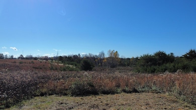 dji_fly_20241111_111430_605_173134185466