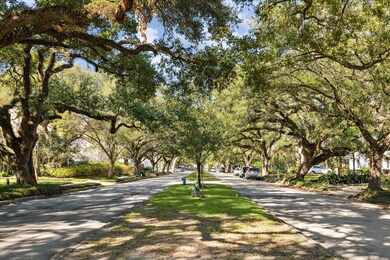This street!  Beautiful, tree-lined with mature oak trees and a well-maintained esplanade.
