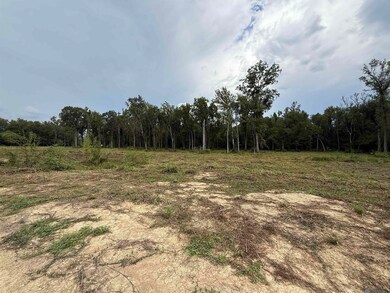 6-Z-1-E Pertuis Rd, Saint Amant, LA 70774 - photo 3