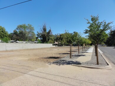 Maple Lot 047