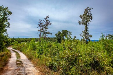 1700 Sutterfield Rd, Fox, AR 72051 - photo 5