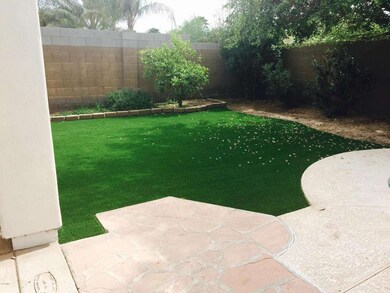No Maintenance Lawn
