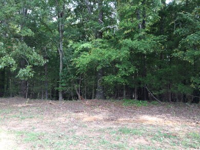 151 Fox Trail Run, Oxford, MS 38655 - photo 3