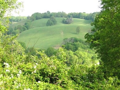 0 Goose Creek Rd, Shelbyville, TN 37160 - photo 4