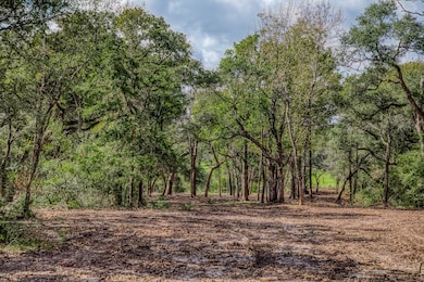 Tract 2 Sun Oil Rd, Brenham, TX 77833 - photo 6