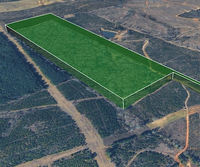 0 Nesbitt Cutoff, Marshall, TX 75670 - photo 3