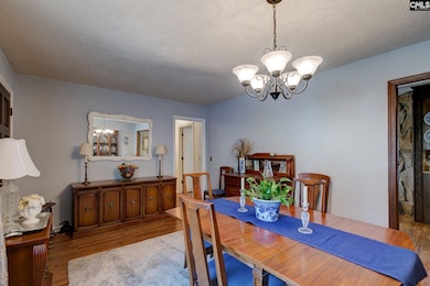 313 Harleston Rd, Irmo, SC 29063 - photo 6