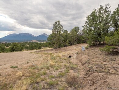 10286 Pioneer Trc, Nathrop, CO 81236 - photo 4