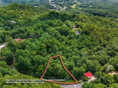 1005 Laurel Rd, Townsend, TN 37882 - photo 2