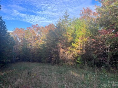 0 Shady Bark Ln unit 40 CAR4070380, Rutherfordton, NC 28139 - photo 2