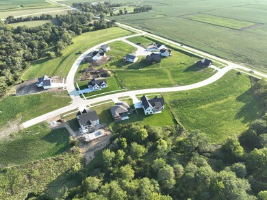 Aerial View 3