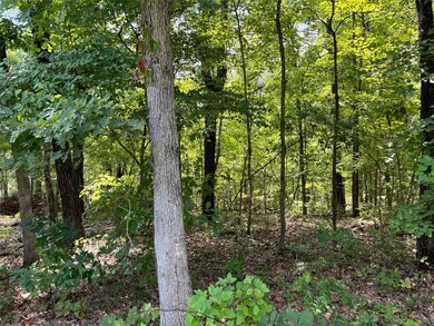 0 Burnham Dr, Bella Vista, AR 72715 - photo 5