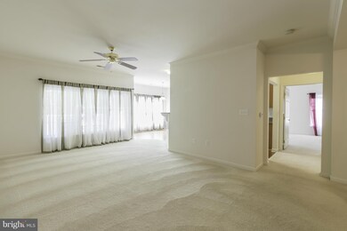 1011 Samantha Ln unit 5-203, Odenton, MD 21113 - photo 4