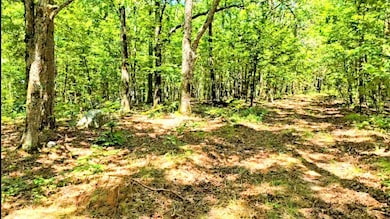 169378 Indian Hwy, Kiamichi Christian Mission, OK 74549 - photo 3