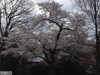 3528 Albemarle St NW, Washington, DC 20008 - photo 2