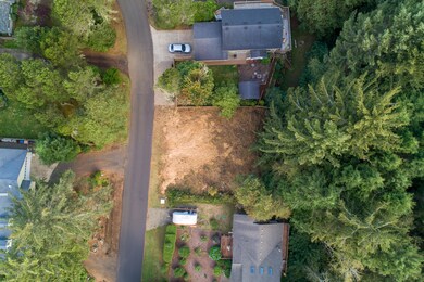 Arial of Lot