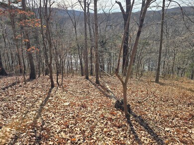 0 Salisbury Rd unit 921737, Eagle Rock, VA 24085 - photo 3