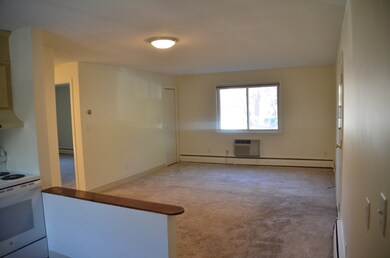 41 Lionel Ave unit D, Waltham, MA 02452 - photo 5