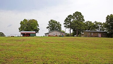 IMG_6942