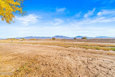 5-web-or-mls-_DSC9343