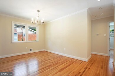 11301 Mapleview Dr, Silver Spring, MD 20902 - photo 7
