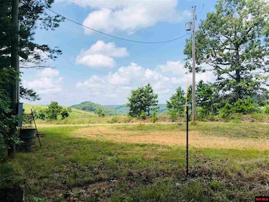 7958 Mc 6061, Flippin, AR 72634 - photo 2