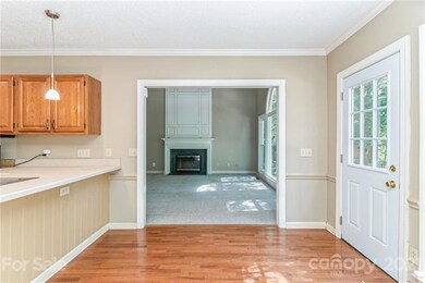 8630 Summerfield Ln, Huntersville, NC 28078 - photo 6