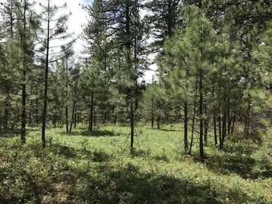 Two Lots