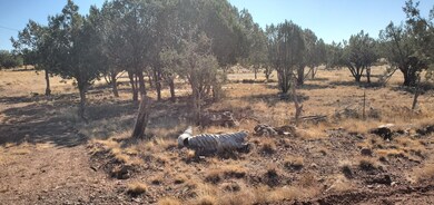 2237 N Luana Dr, Williams, AZ 86046 - photo 5