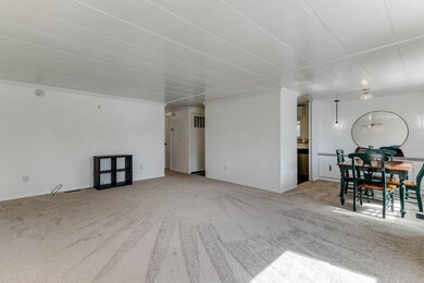 Living/Dining Area