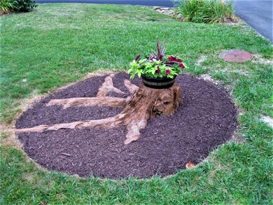thumbnail_IMG_0348.jpg88
