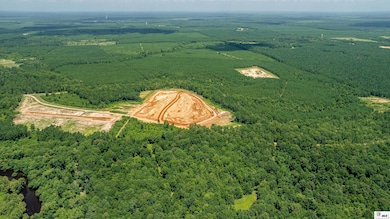 0 Longfield Rd, Sterlington, LA 71280 - photo 3