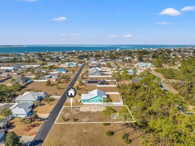 123 White Blossom Trail, Port Saint Joe, FL 32456 - photo 3