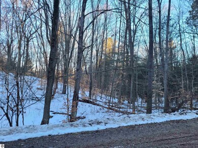 Lot 70 Fence Row Cir, Leroy, MI 49655 - photo 6