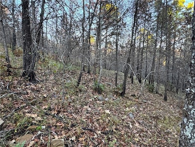 TBD Oklahoma 128, Heavener, OK 74937 - photo 3