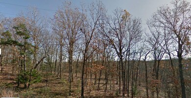 Tbd State Hwy 76, Shell Knob, MO 65747 - photo 6