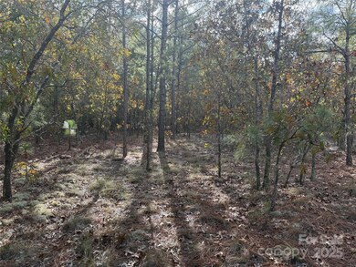 0 Fox Rd, Marston, NC 28363 - photo 7