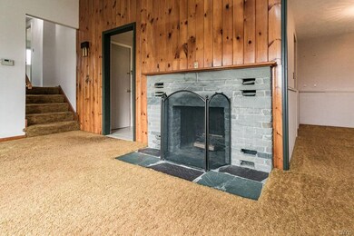 Wood burning fireplace