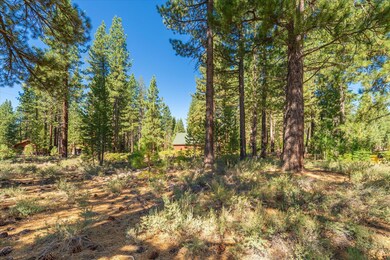 11300 Wolverine Cir, Truckee, CA 96161 - photo 6