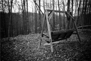 A stragegically placed swing gives you a place to enjoy a view of the back of the property.