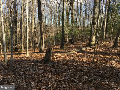 12791 Westside Rd, Manassas, VA 20112 - photo 4