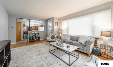 1403 Pulaski St, Lincoln, IL 62656 - photo 4