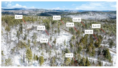 L87 Highview Ln unit Lot 3, Wevertown, NY 12886 - photo 7