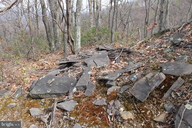 LOT 337 Nathaniel Mt Rd, Moorefield, WV 26836 - photo 7