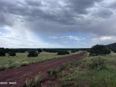 460 & 461 Cr8301, Concho, AZ 85924 - photo 3